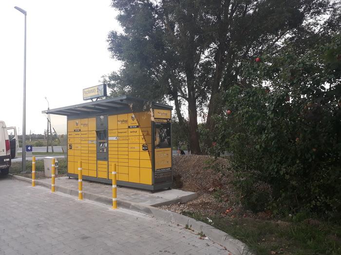 Przykładowa reklama