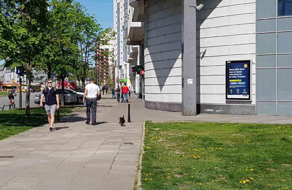 Przykładowa reklama