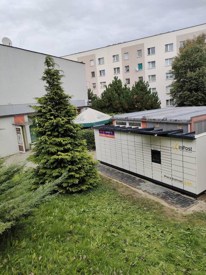 Przykładowa reklama