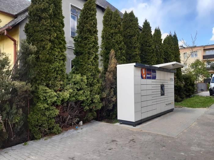 Przykładowa reklama