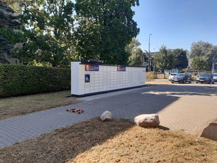 Przykładowa reklama