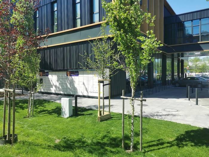 Przykładowa reklama