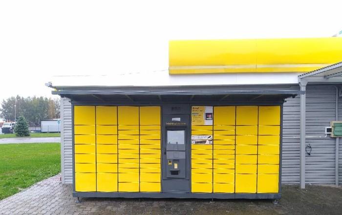 Przykładowa reklama