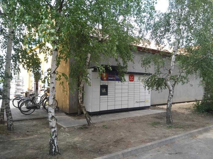 Przykładowa reklama