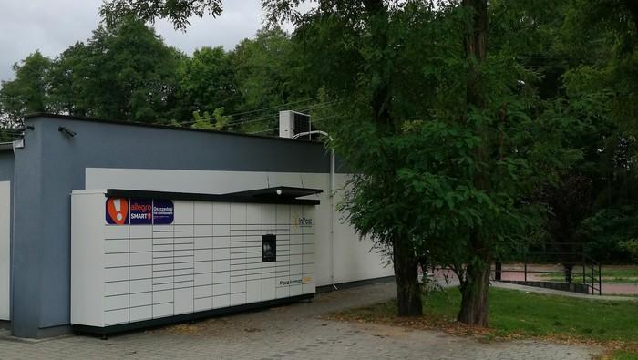 Przykładowa reklama